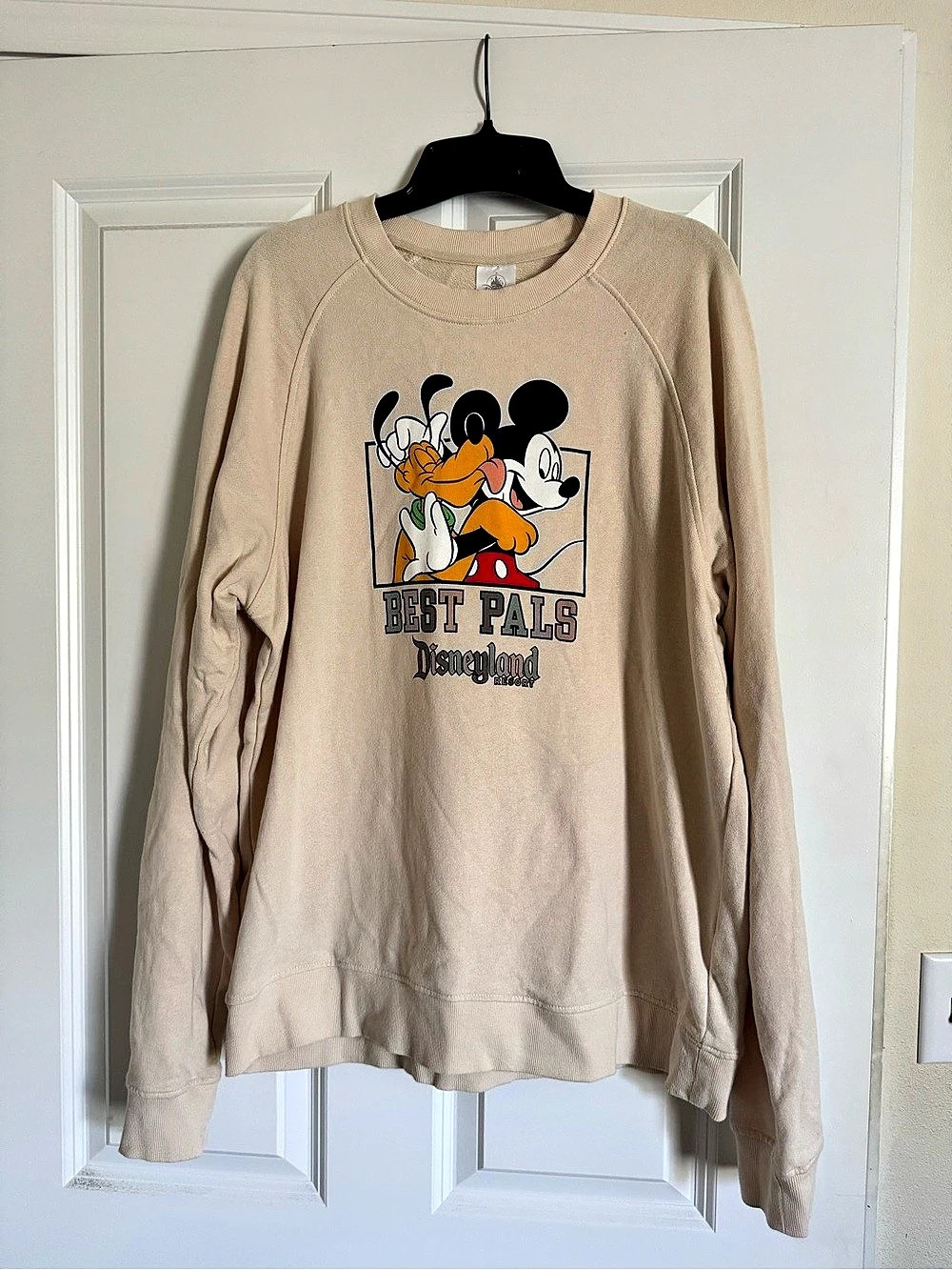Disney Parks Best Pals Mickey and Pluto Disneyland Sweatshirt